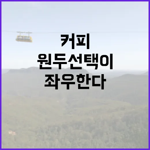 커피원두 선택이 카페 성공을 좌우한다