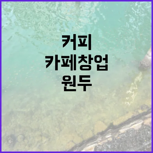 커피원두로 시작하는 나만의 카페 창업 비법