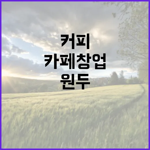 커피원두로 시작하는 카페 창업의 비밀