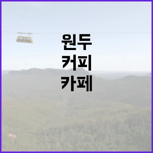 커피원두… 당신의 카페를 특별하게 만드는 법