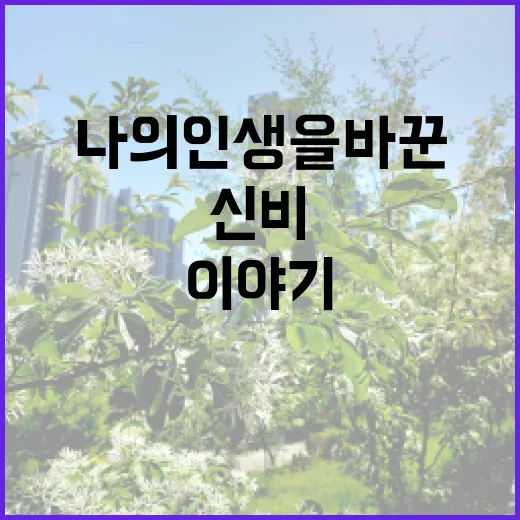 별자리, 나의 인생을 바꾼 신비로운 이야기