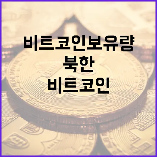 북한 비트코인 보유량, 머스크보다 많다는 shocking 사실!