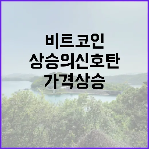 비트코인, 가격 상승의 신호탄을 쏘다