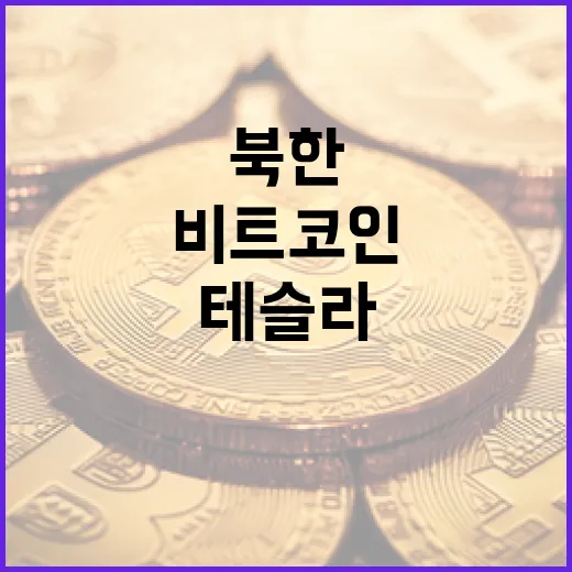 북한 비트코인, 테슬라를 초과한 충격의 진실