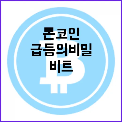 톤코인 급등의 비밀… 비트코인과의 차별점