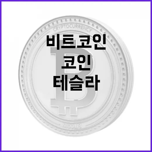 북한 비트코인, 테슬라를 넘어선 숨겨진 진실