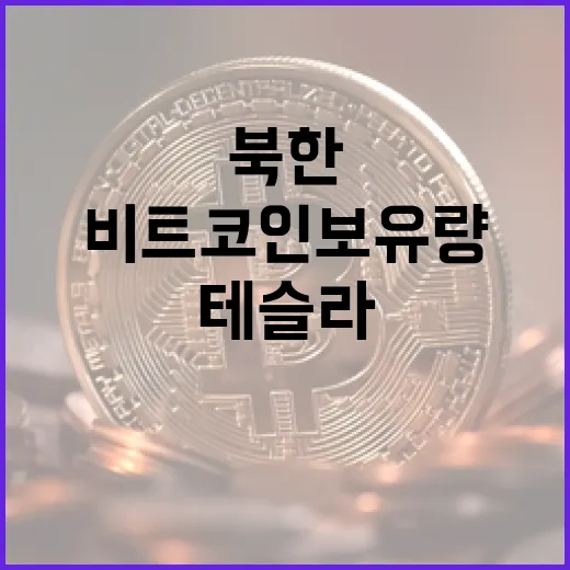 북한 비트코인 보유량, 테슬라를 초과한 이유는?