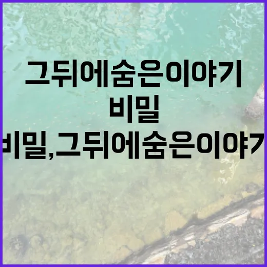 별자리의 비밀, 그 뒤에 숨은 이야기