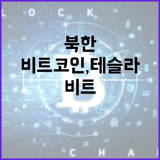 북한 비트코인, 테슬라를 넘어서다… 놀라운 사실