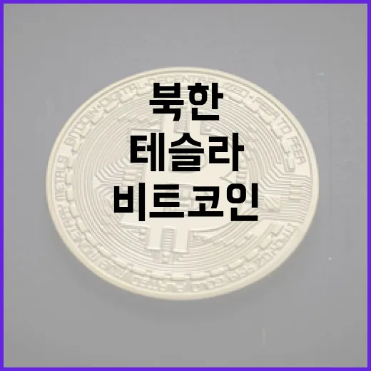 비트코인, 북한이 테슬라를 이겼다?