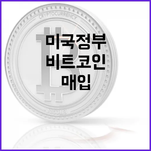 비트코인, 미국 정부의 매입 가능성은?
