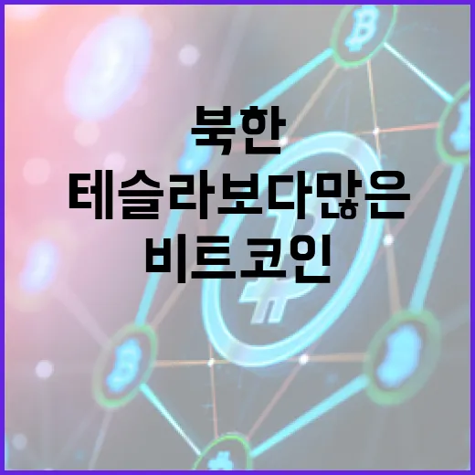 북한 비트코인, 테슬라보다 많은 비밀의 세계