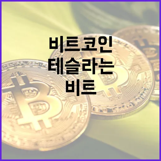 북한 비트코인, 테슬라는 대체 못한다