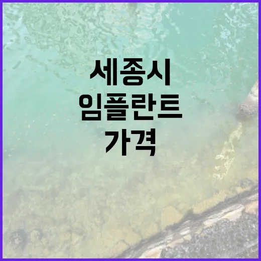 임플란트, 세종시에서 가격이 이렇게 다를 수 있을까?