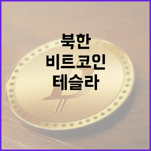 북한 비트코인, 테슬라를 능가한 진실은?