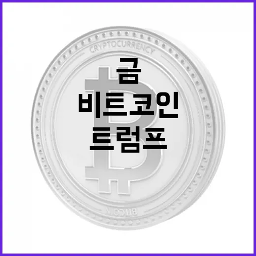 비트코인, 트럼프가 금을 팔아 비트코인 대량 매입할까?