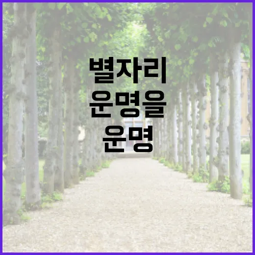 별자리와 나… 운명을 잇는 이야기