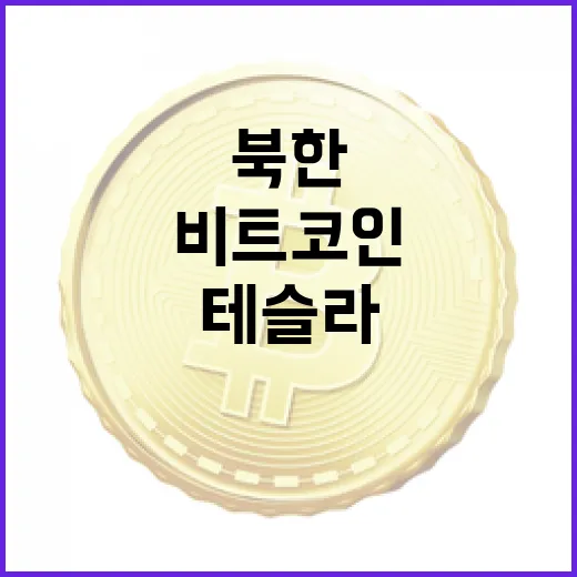 북한 가상화폐, 테슬라를 초과한 비트코인의 비밀