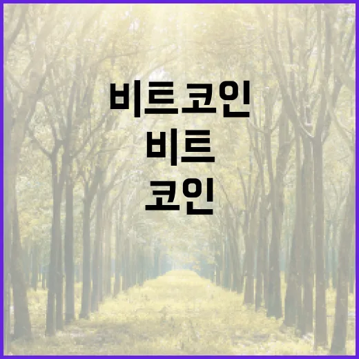비트코인, 박스권을 뚫고 9만 달러를 넘을까?