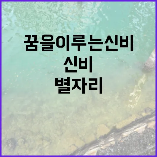 별자리, 꿈을 이루는 신비로운 이야기
