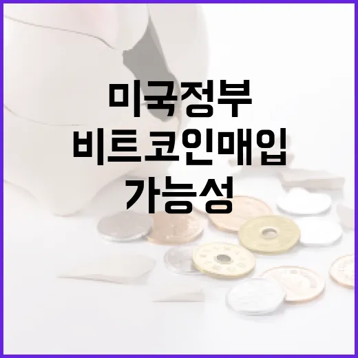 비트코인, 미국 정부의 비트코인 매입 가능성은?