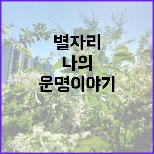 별자리와 연결된 나의 운명 이야기