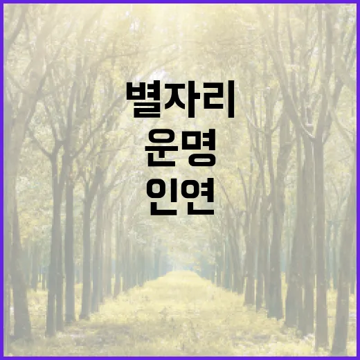 별자리와 인연… 당신의 운명을 찾는 여정