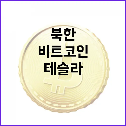 북한 비트코인, 테슬라를 능가한 비밀