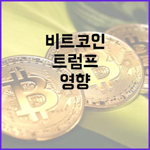 비트코인… 아우라딘의 국산화 도전과 트럼프의 영향