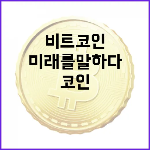 비트코인, 구조적 리스크와 미래를 말하다