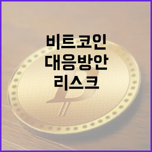 비트코인, 구조적 리스크와 그 대응 방안은?