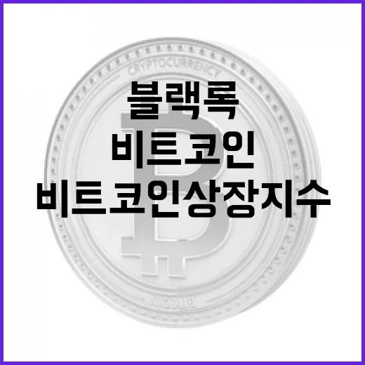 비트코인 상장지수상품, 블랙록의 혁신적 수수료 전략 공개!