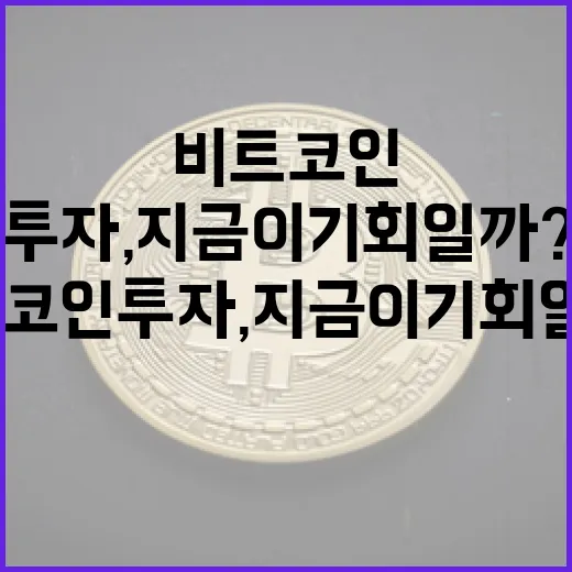 비트코인 투자, 지금이 기회일까?