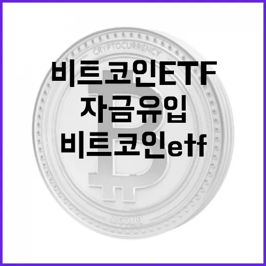 비트코인의 역동적인…