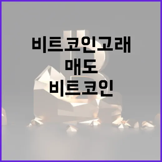 비트코인 고래의 매도, 기관의 신뢰는 계속된다!