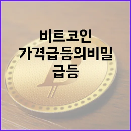 비트코인, 가격 급등의 비밀은?