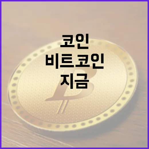 비트코인, 지금이 투자 적기일까?