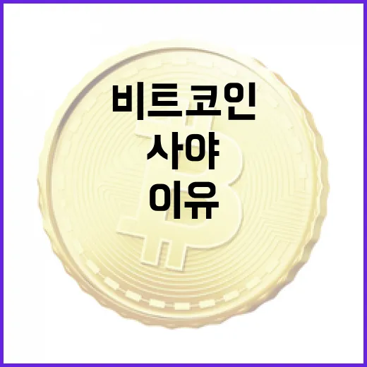 비트코인 가격 분석… 지금 사야 할 이유