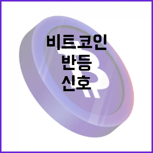 비트코인, 하락세를 뒤로하고 기술적 반등의 신호!