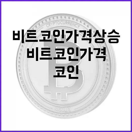 비트코인 가격 상승, 과연 진실일까?