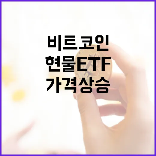 비트코인 가격 상승, 현물 ETF의 비밀을 파헤치다!