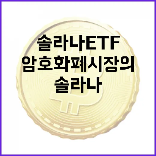 피델리티 솔라나 ETF, 암호화폐 시장의 판도를 바꿀까?