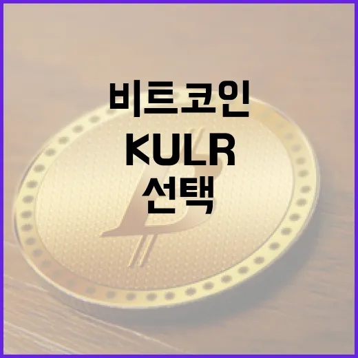 KULR가 선택한 비트코인, 그 배경은?