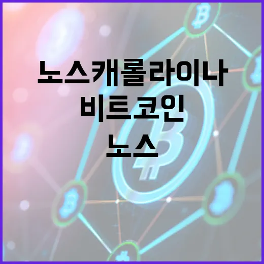 비트코인, 연금 기…