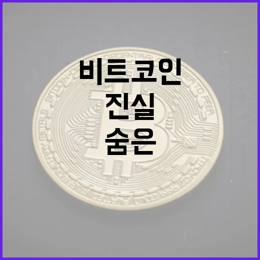 비트코인, 조정 국면의 숨은 진실!