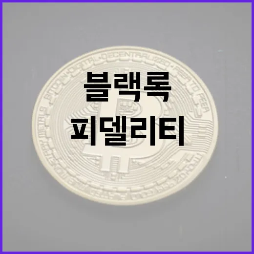 피델리티, 블랙록의 ETF 출시! 암호화폐 투자 기회는?