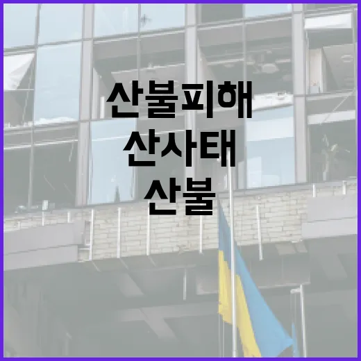 정부, 산불 피해지…