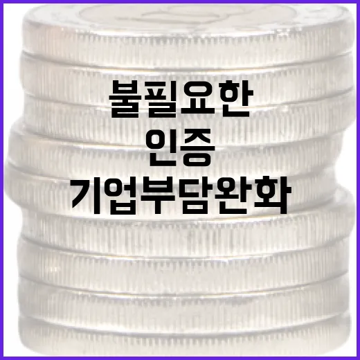 불필요한 기술 인증…