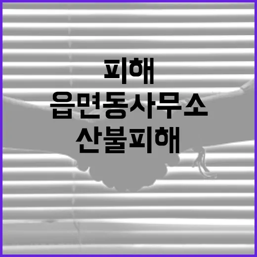 산불 피해, 읍면동…