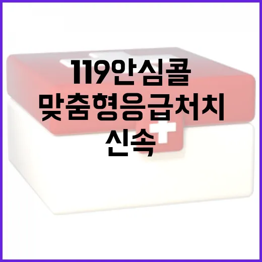119안심콜, 맞춤…